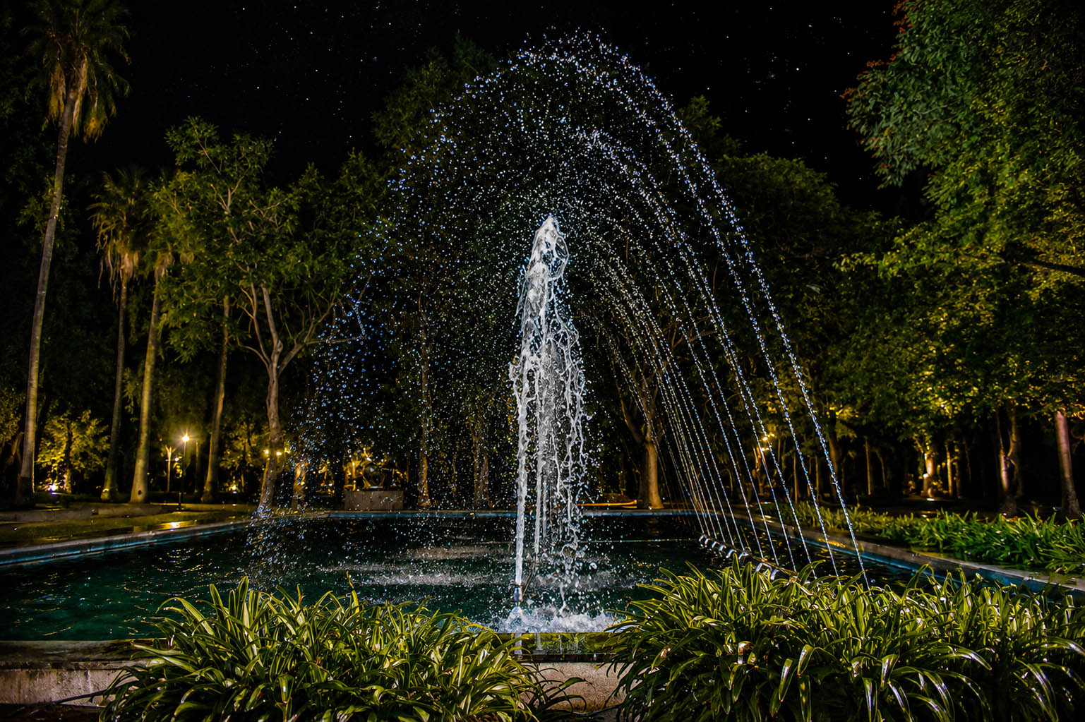 Fuente del Parque García Sanabria